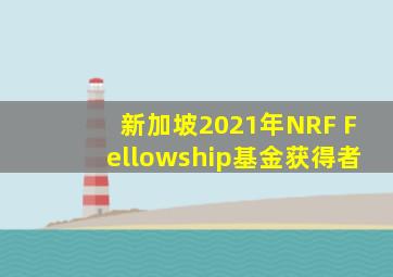 新加坡2021年NRF Fellowship基金获得者